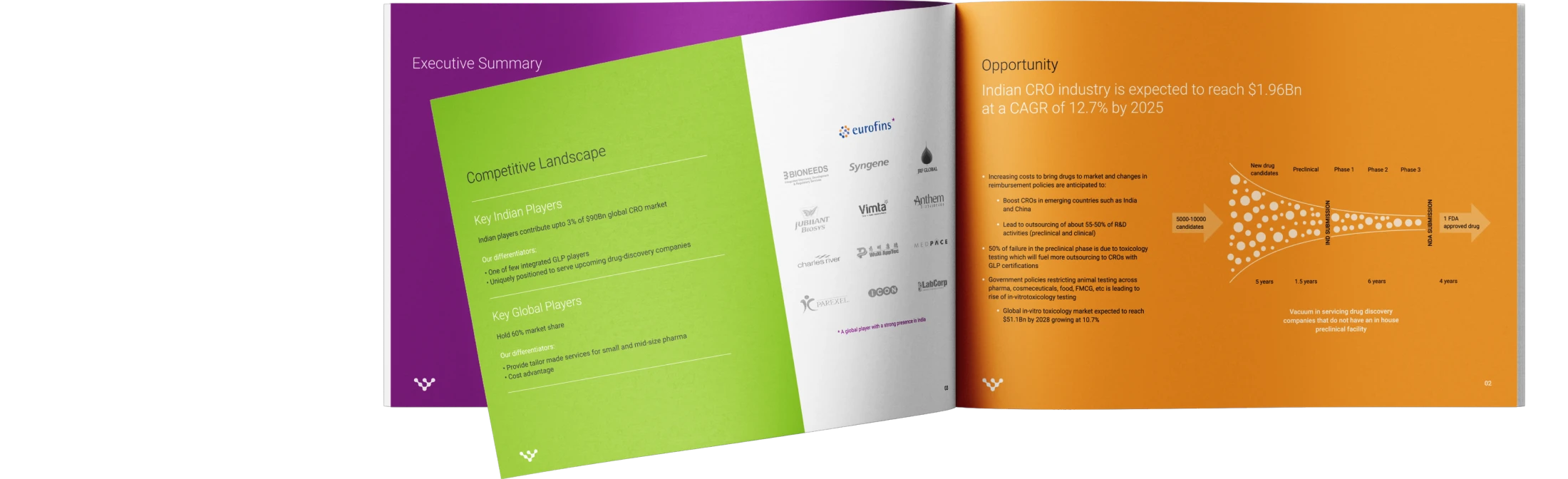 Vipragen branding - brochure design