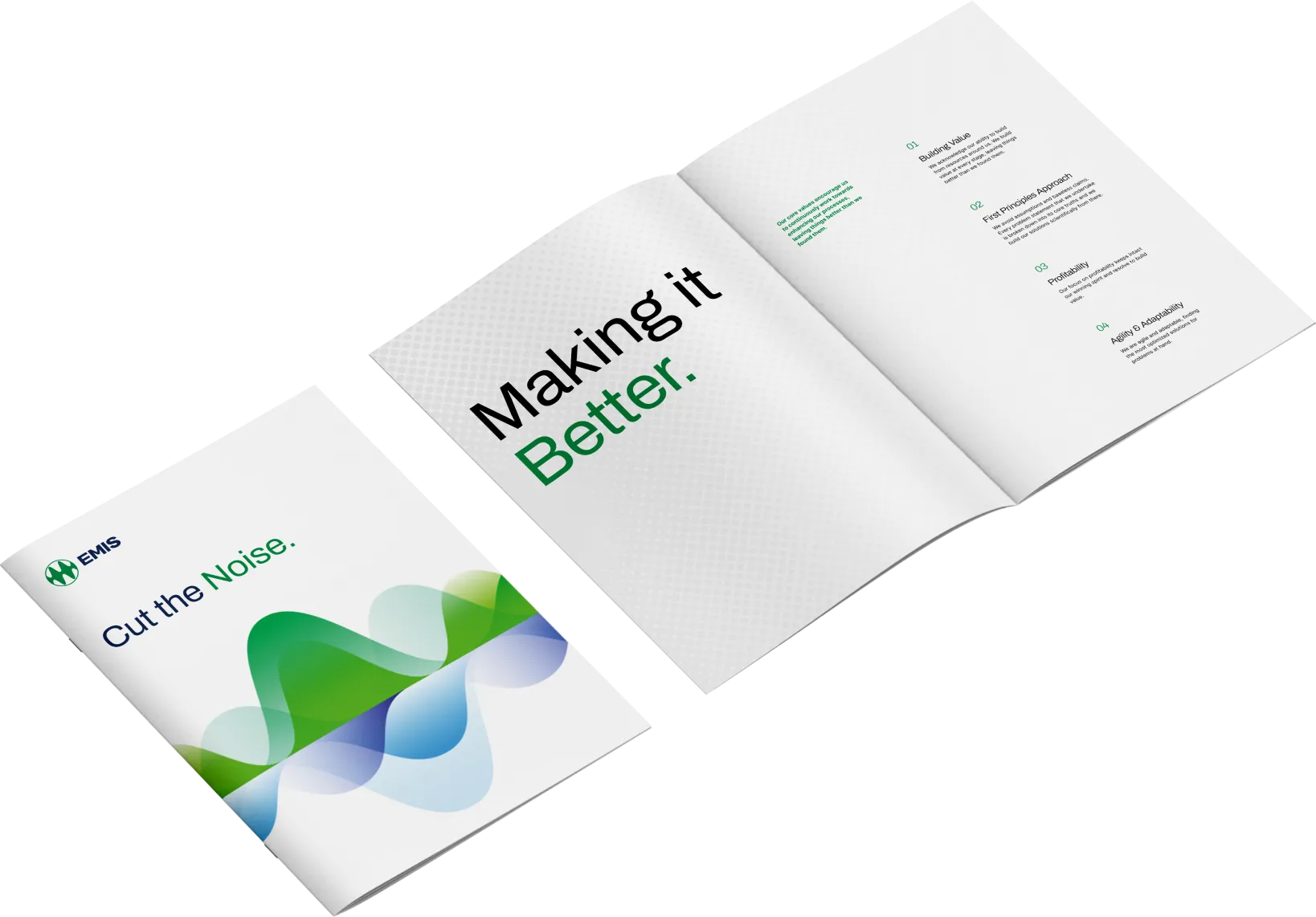 EMIS branding - brochure design